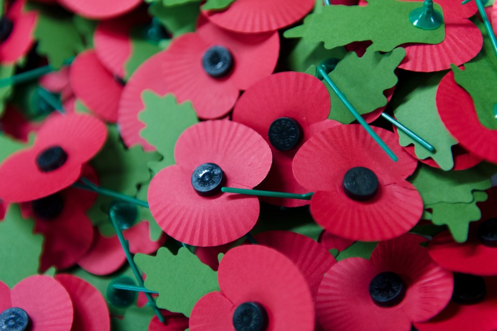 A pile of the iconic red emblem of the British Legion's annual poppy appeal sits on a work bench at the company headquarters in Richmond, London on November 7, 2012 in London, England.