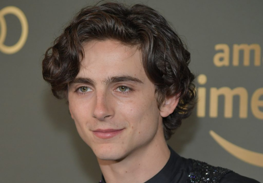 Как сделать прическу как у тимоти шаламе Timothee Chalamet - Timothee Chalamet says he has a lot to learn about acting ..