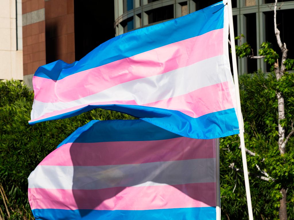 Merriam Webster Dictionary Adds Three New Transgender Words Pinknews 0823