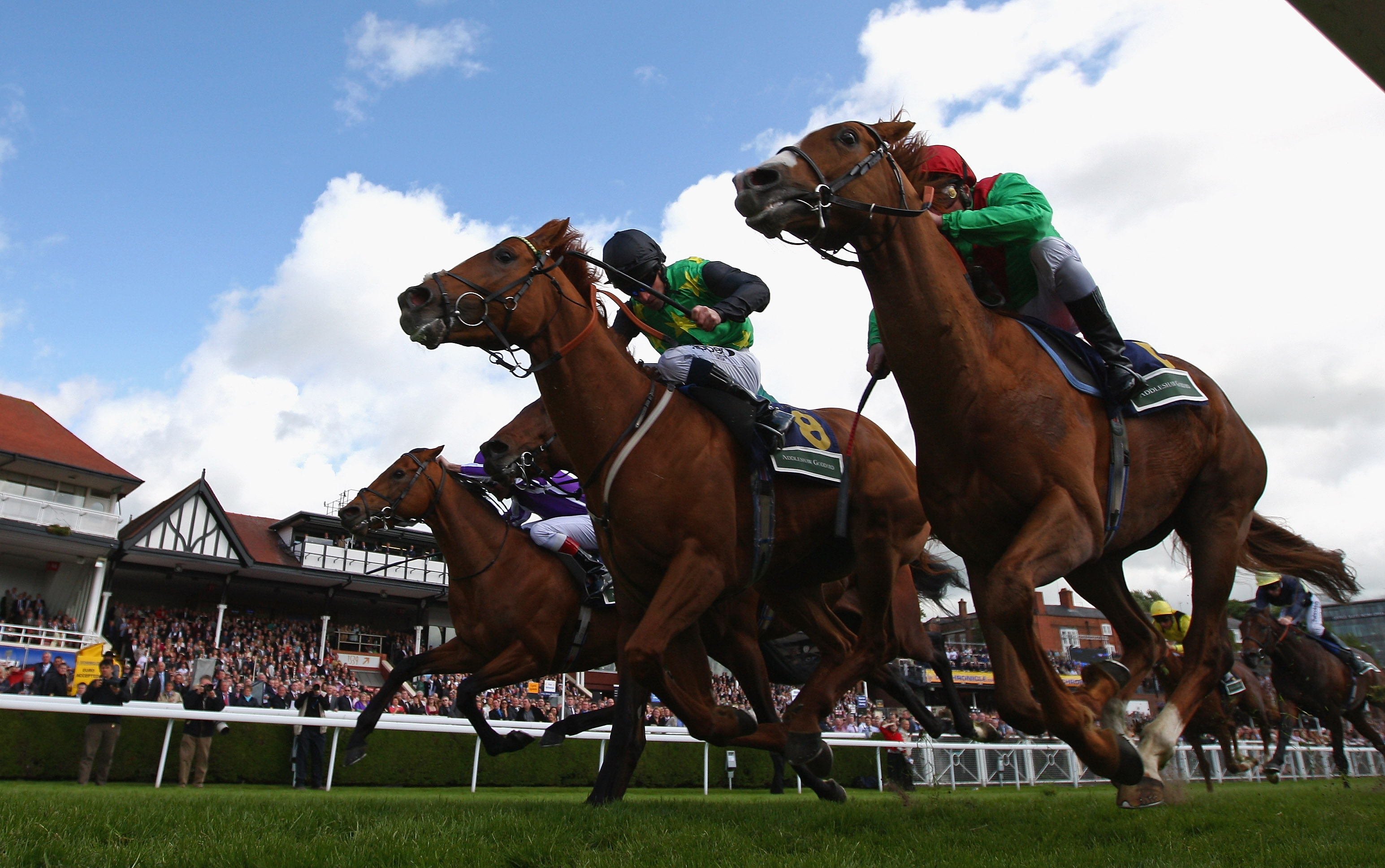 Gets race. ДЖИТАНО Эрнандо жеребец. Лошадь ДЖИТАНО Эрнандо.. Chester Racecourse.