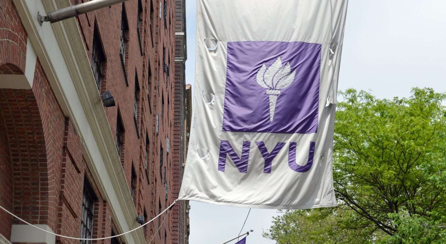 Gay NYU grad accuses lesbian professor of sexual harassment and assault ...