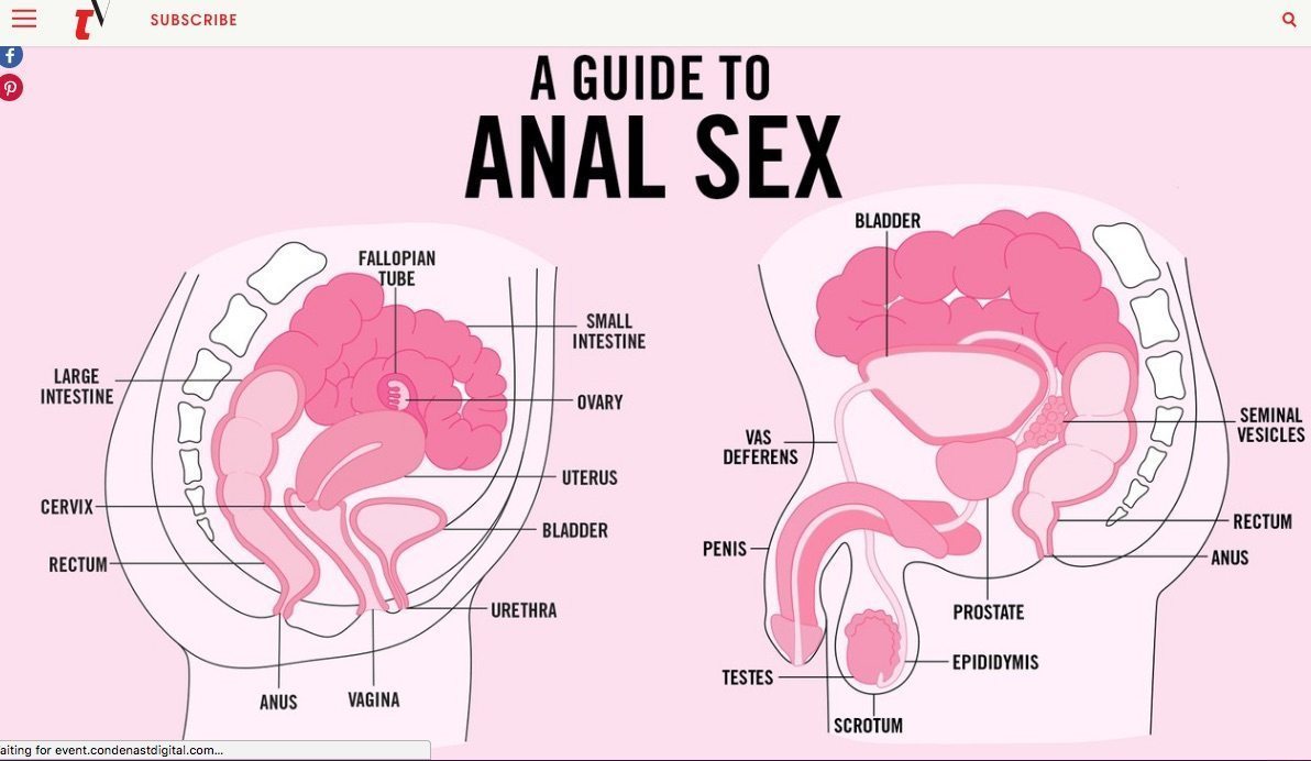 Anal Pornstar Anal - Teen Vogue publishes controversial guide and people can't deal with it |  PinkNews