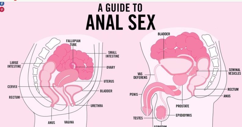 Anal Sex Research - This study proves just how important Teen Vogue's controversial guide is |  PinkNews