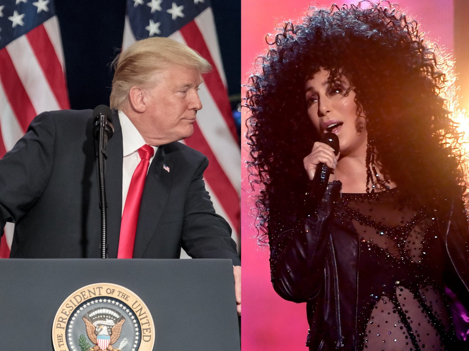 Cher has brutally torn apart 'demented racist' Donald Trump - and it's  amazing | PinkNews