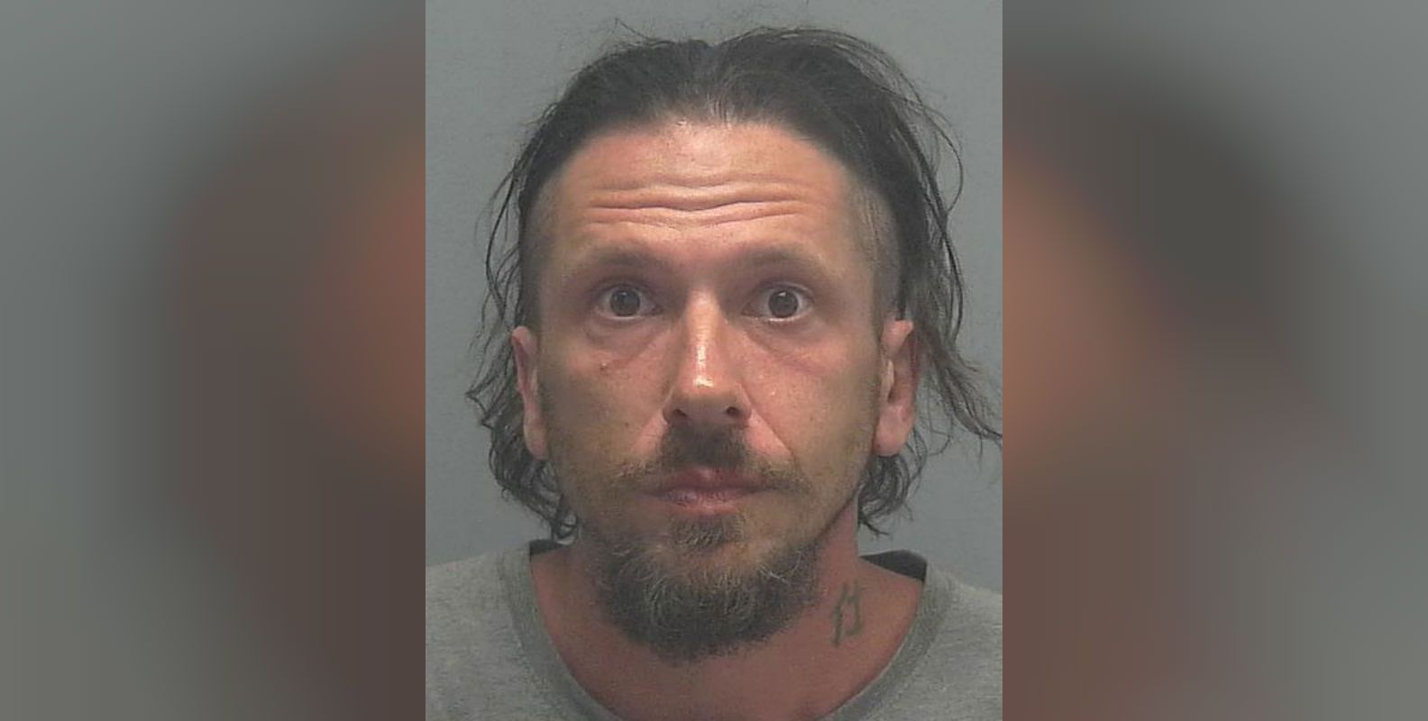 Florida man arrested after calling for purge of gays, Jews, black ...