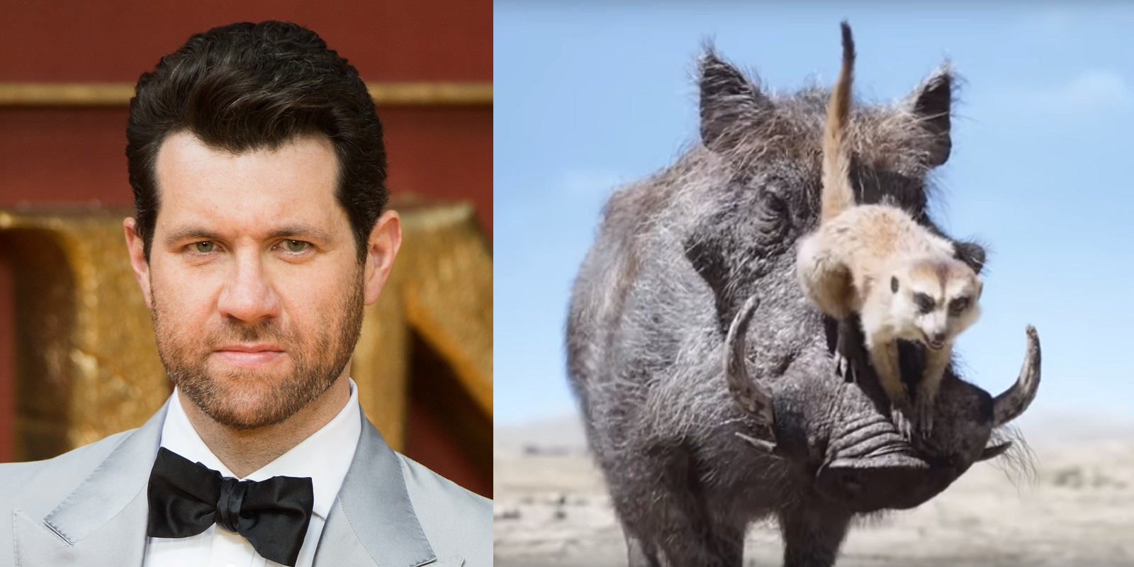 Timon Lion King Gay Porn - The Lion King star Billy Eichner says he played Timon with 'gay  sensibility' | PinkNews