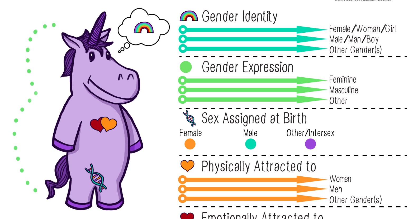 non-binary-teacher-gives-unicorn-graphic-to-help-explain-gender