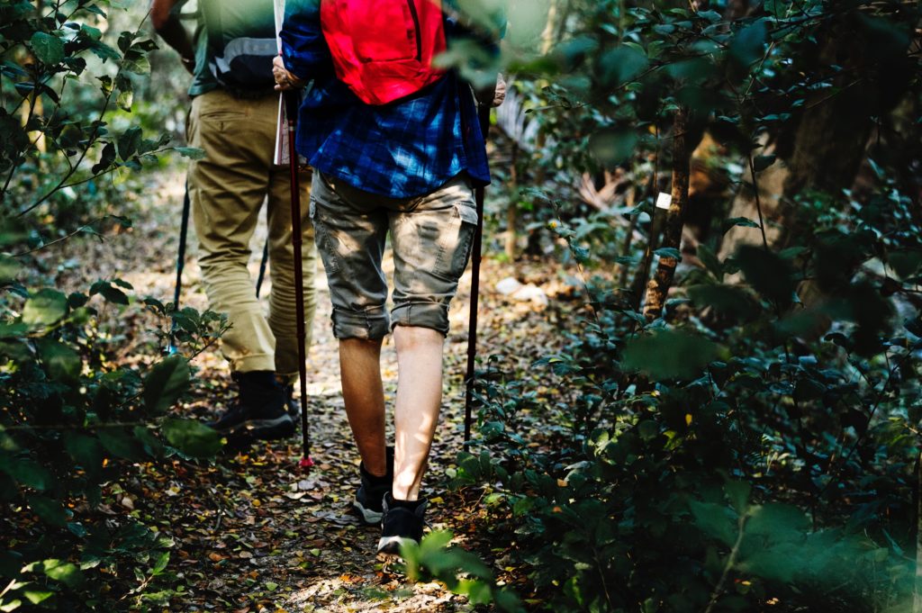 A close-up of two men's legs walking through a wooded area