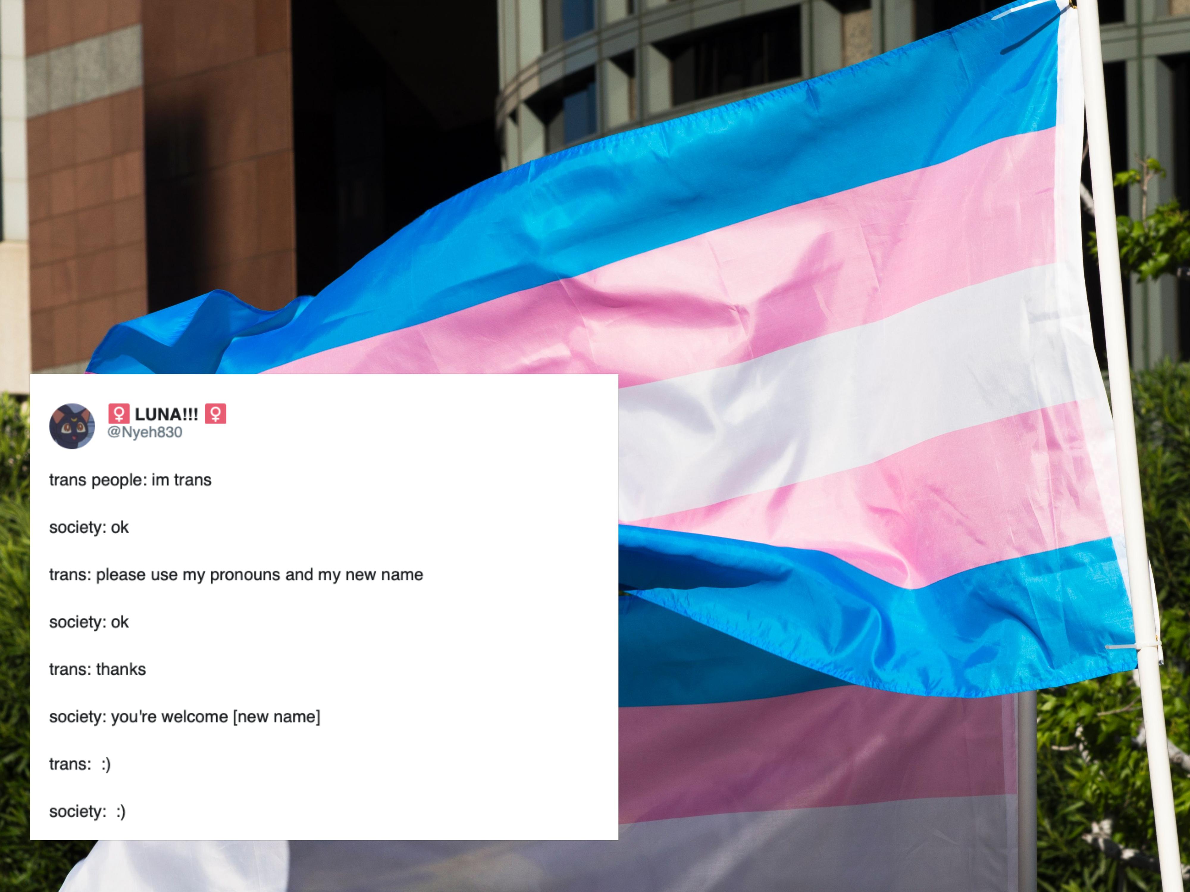 Trans people on Twitter have turned a bigoted tweet into a hilarious meme |  PinkNews