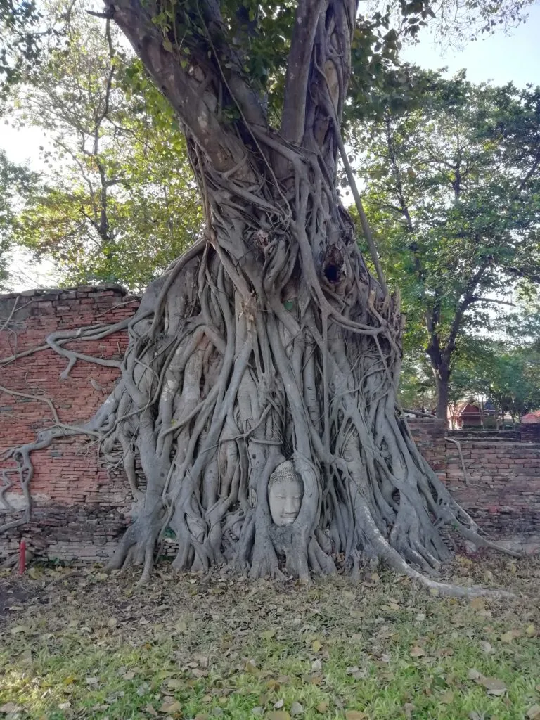 Wat Mahathat, Ayutthaya (PinkNews)
