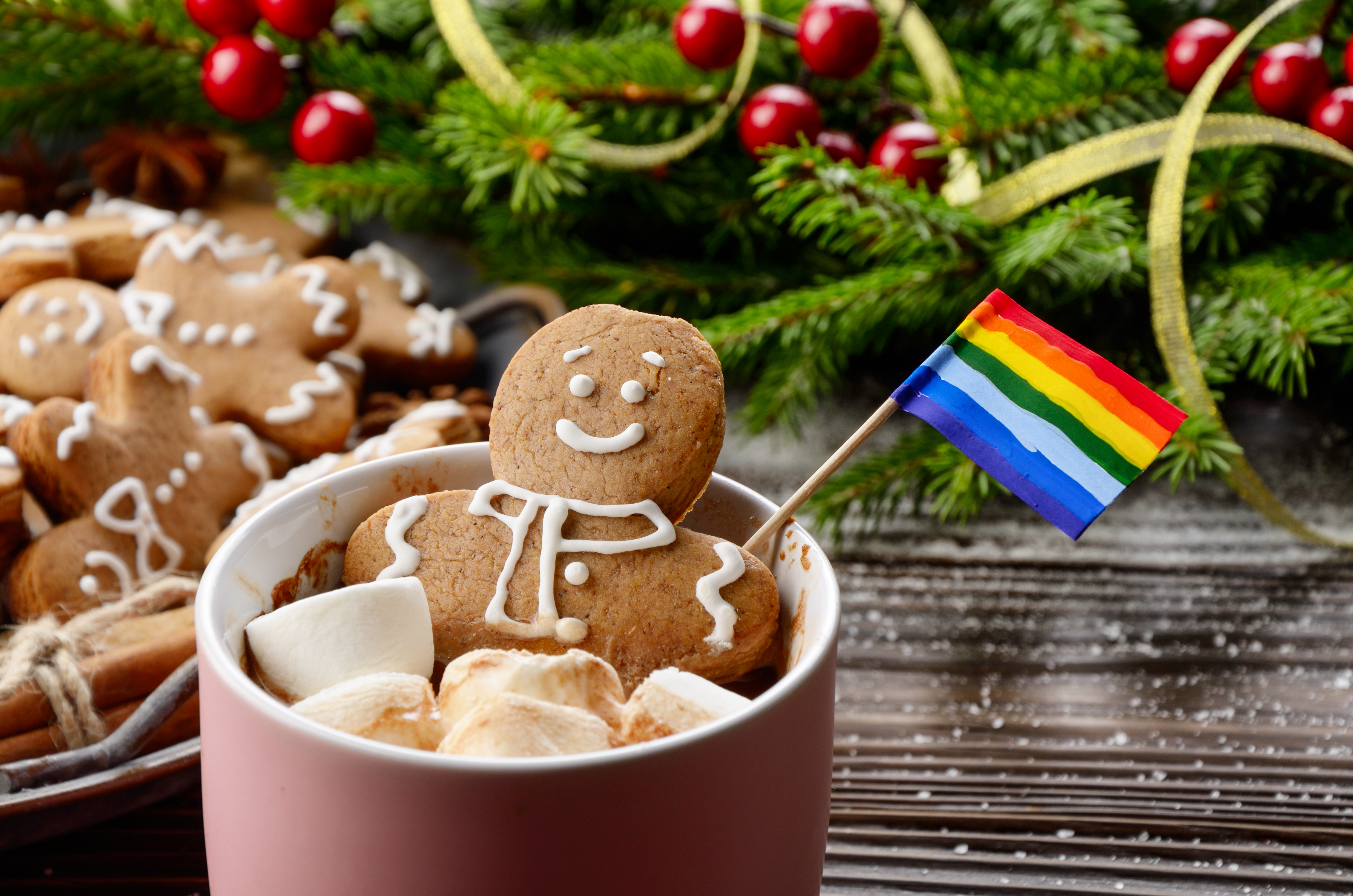 Catholic League president Bill Donoohue is very upset about gay Christmas celebrations