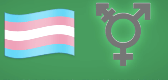 The long-awaited trans Pride flag emoji is finally coming to phones in 2020