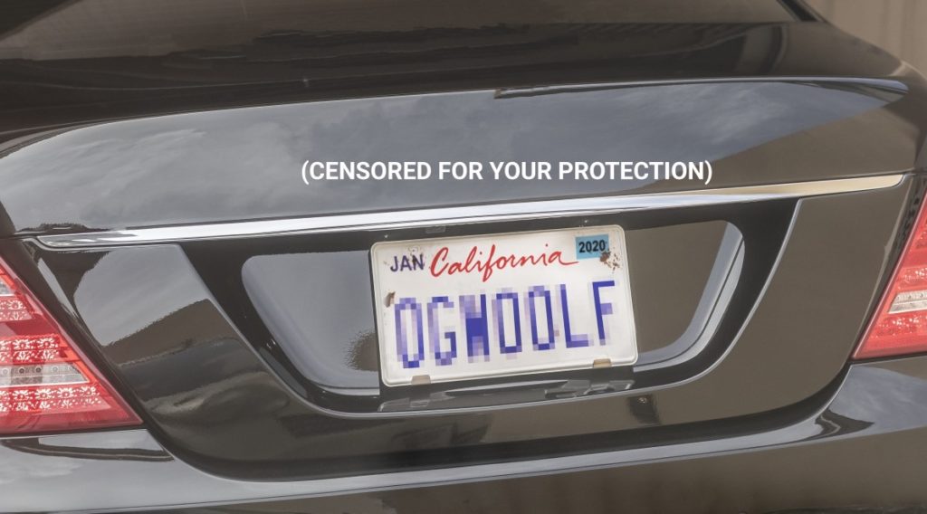 DMV lawsuit for queer licence plate