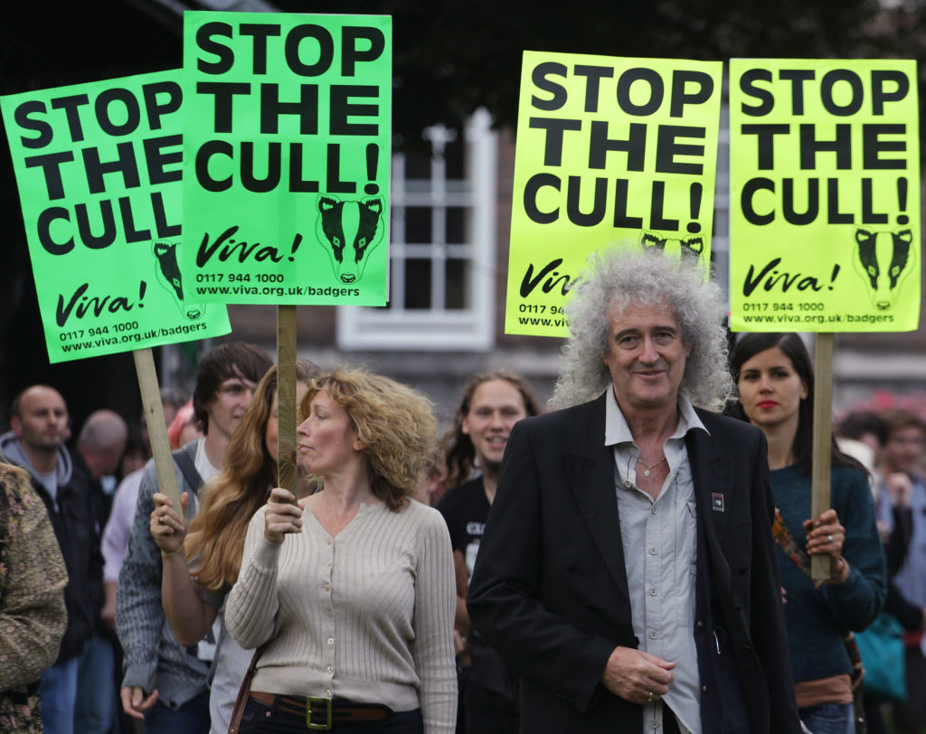 Brian May, Queen founder of Save Me, speaks with protestors as he joins a rally against the proposed badger cull. (Matt Cardy/Getty Images)