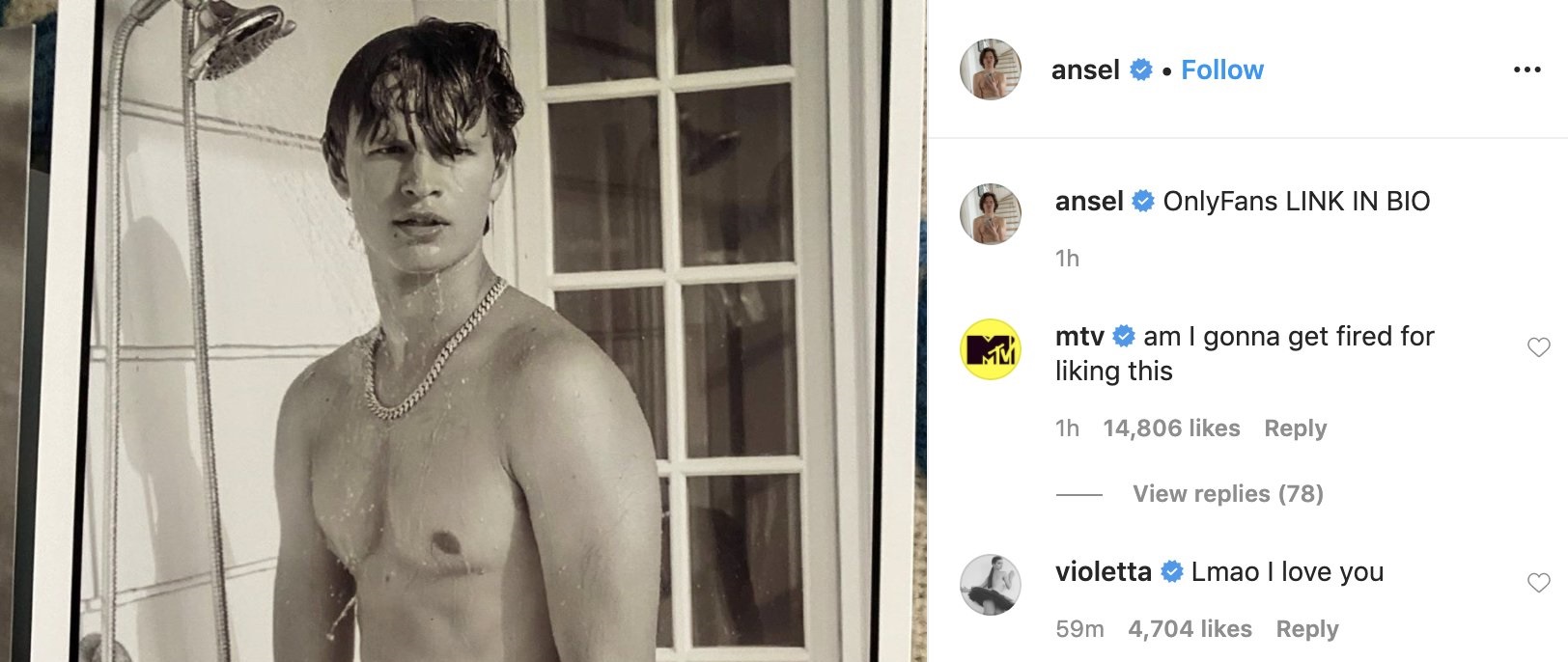 Ansel elgort penis