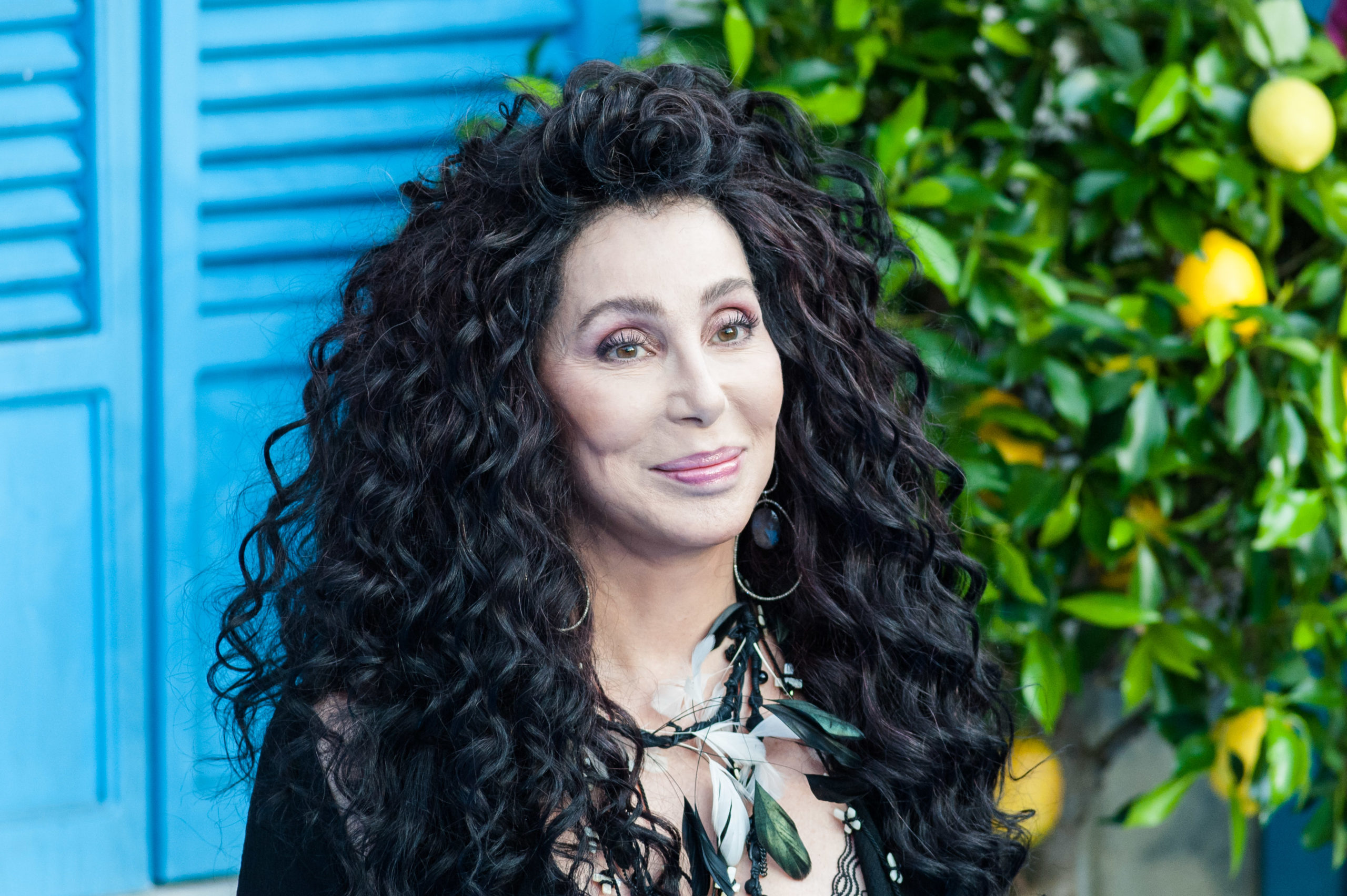 Cher reveals new 'project' is on the way two years after ABBA cover album