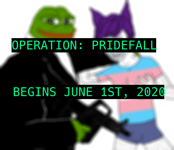 One of the memes contained in the promotional material folder. It shows a gun-toting Pepe the Frog (L) and Wojack wearing a trans Pride flag t-shirt. (4chan)