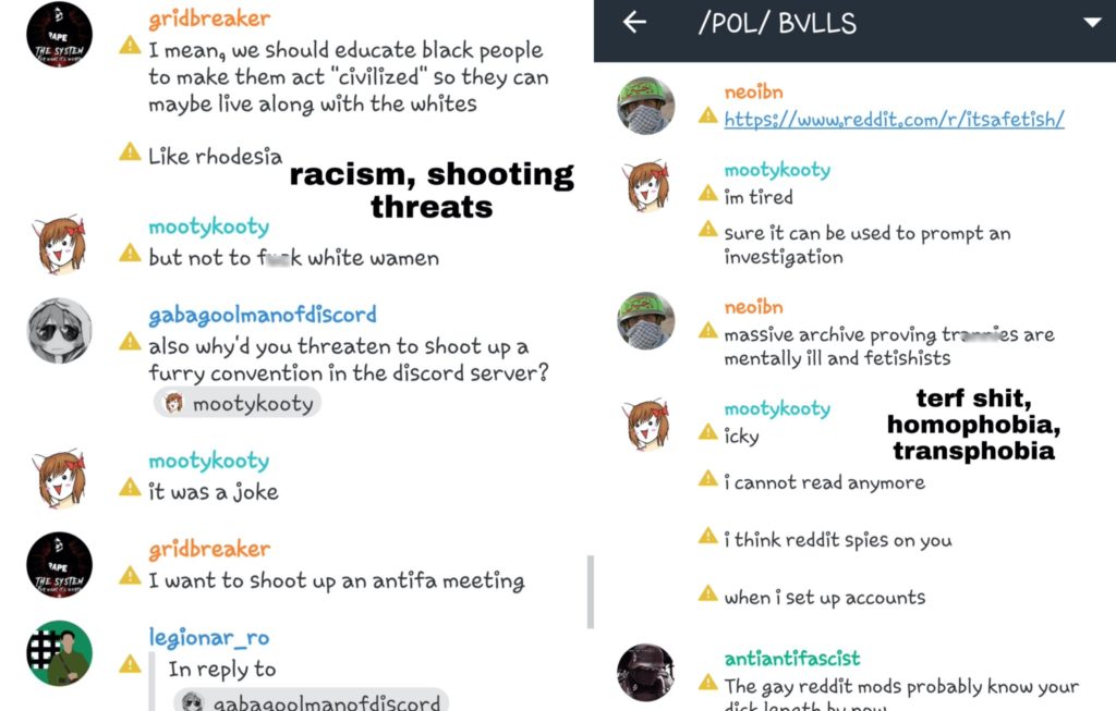 Chat logs from the fringe alt-right users. The anonymous source captioned their comments. (Riot)