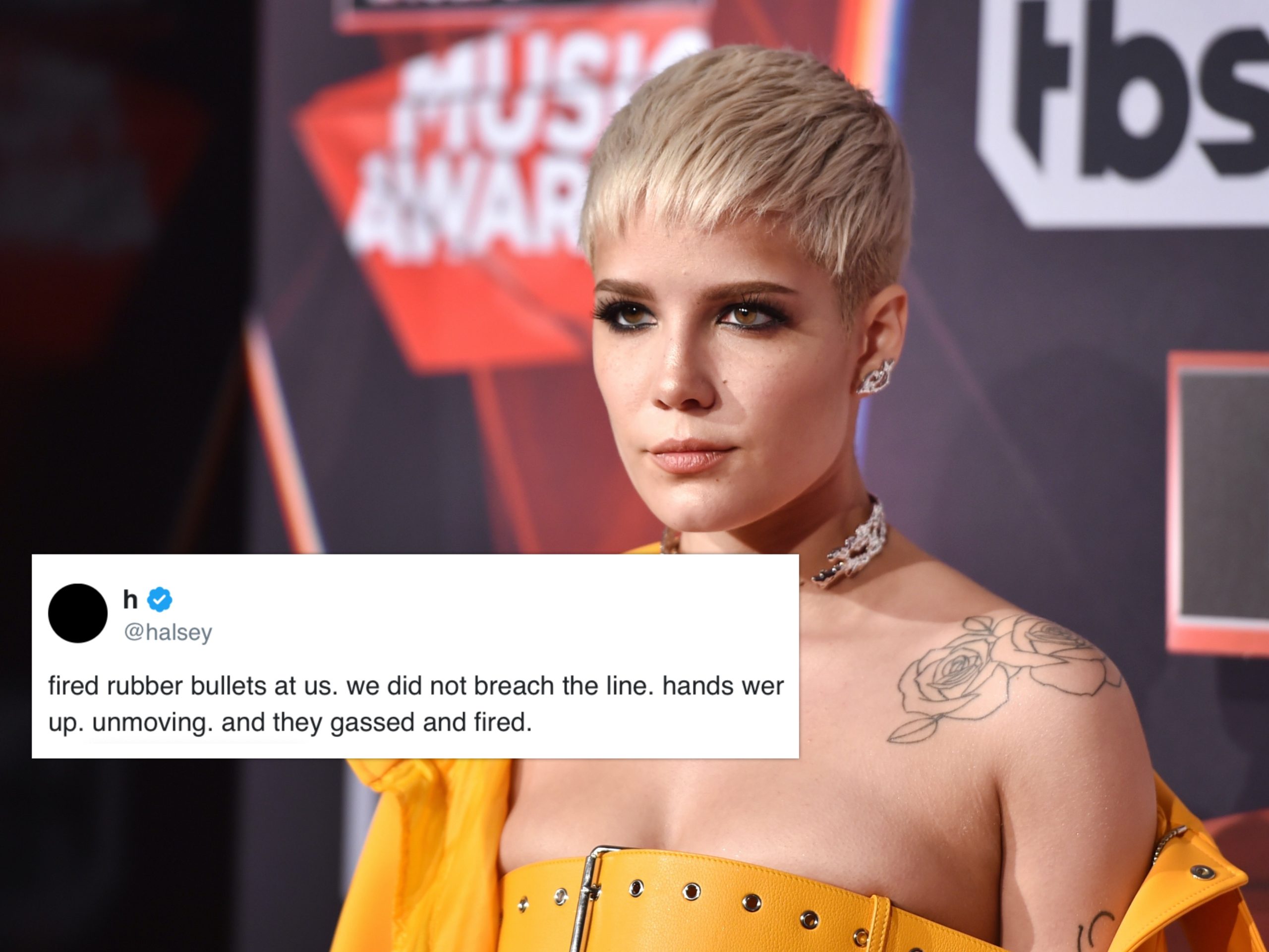 Halsey 'shot and gassed' by police as she protests death of Floyd