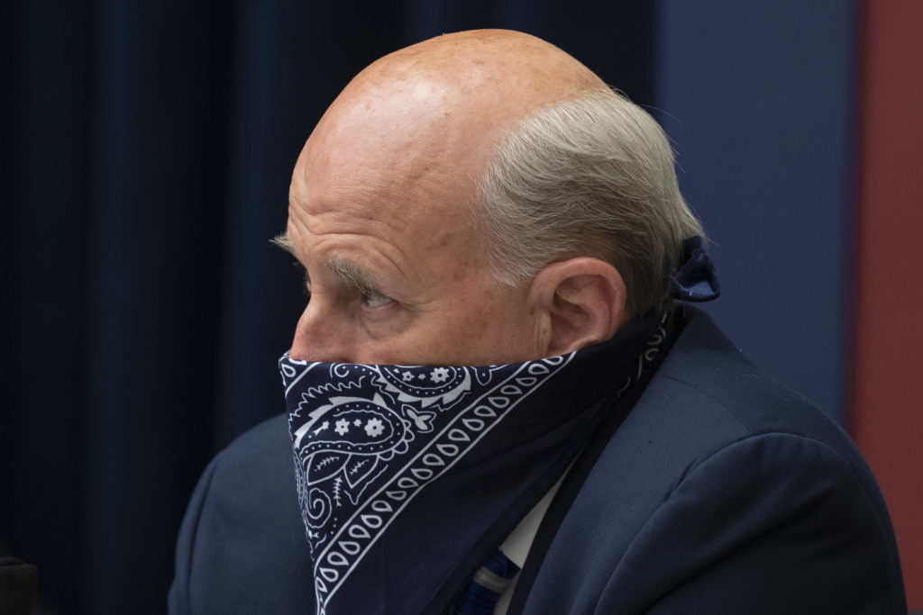 Louie Gohmert attends a US House Natural Resources Committee hearing. (Michael Reynolds-Pool/Getty Images)