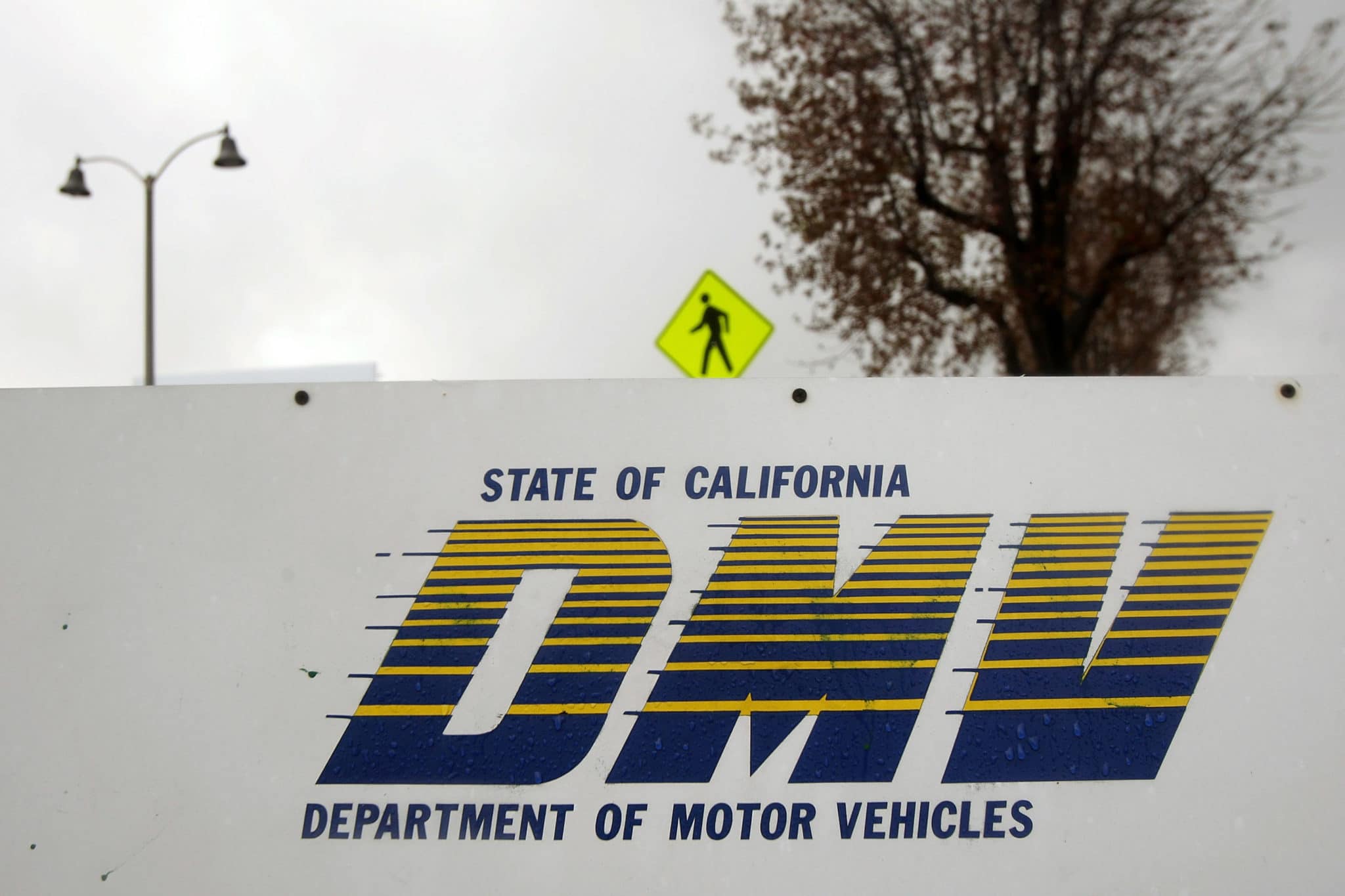 A gay man took on the California Department of Motor Vehicles (DMV) over the QUEER license plate