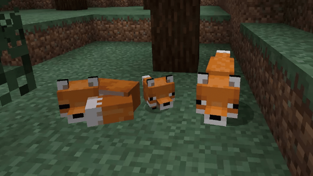 tame fox Minecraft