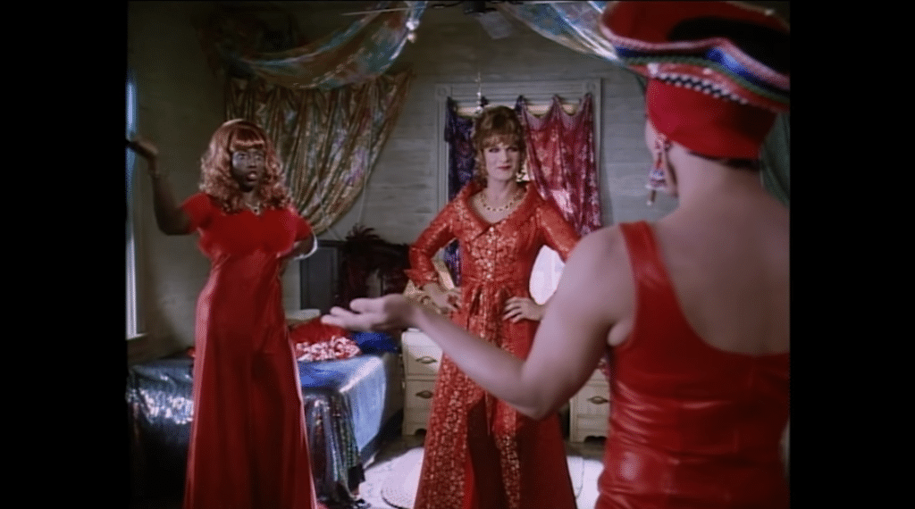 To Wong Foo, Thanks For Everything features loads of iconic cameos. (YouTube)