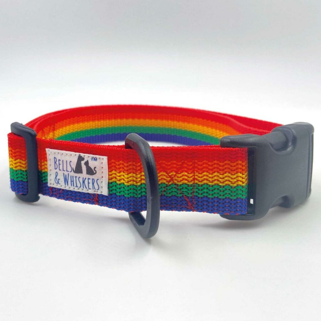 A rainbow dog collar. (Etsy/HandcraftedPetGifts)