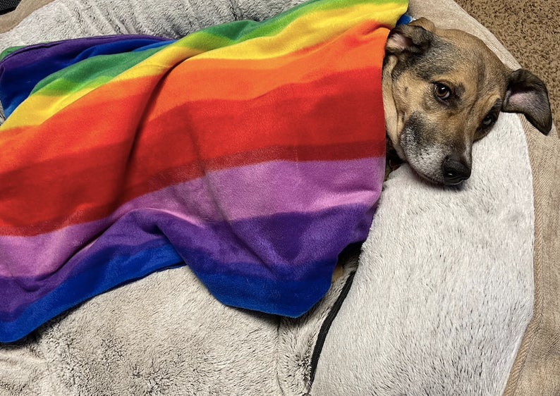A Pride themed blanket for pets. (Etsy/GracysCollection)