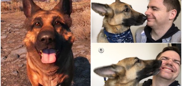 Dogmeat River Fallout 4