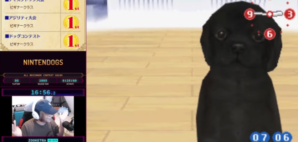 Nintendogs speedrun