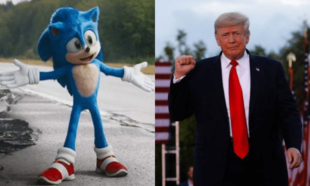 1000px x 600px - Team Trump's new social network GETTR has been flooded with Sonic the  Hedgehog furry porn | PinkNews