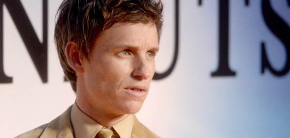 Eddie Redmayne looks to the side on the red carpet