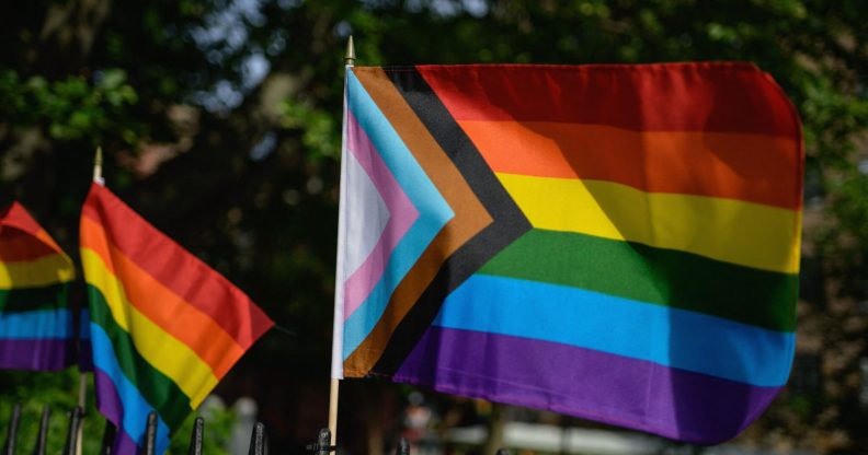PRIDE FLAG Parade Flags Gay Festival Rainbow Supporter Inclusive LGBTQIA+