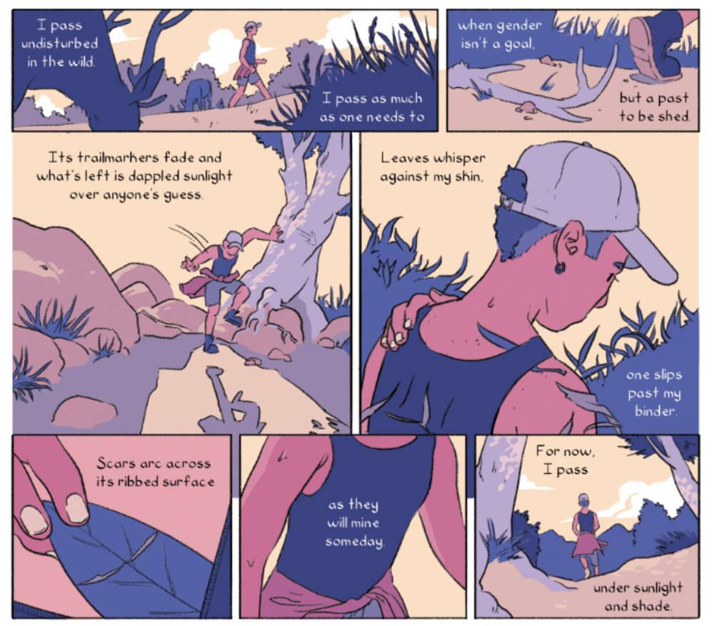 A comic book ppage explores the experiences of exploring your identity as a trans person while on a hike in nature