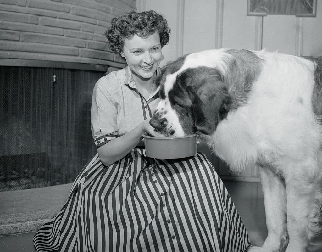 Betty White feeding her St Bernard in the 1950s.