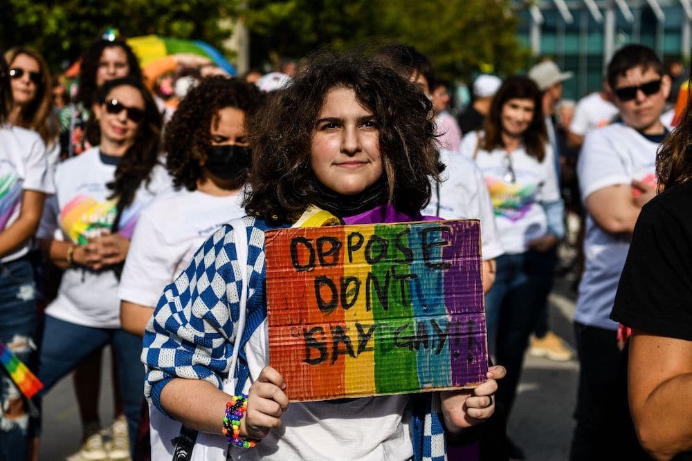 protester holds a placard that reads 'oppose don't say gay'