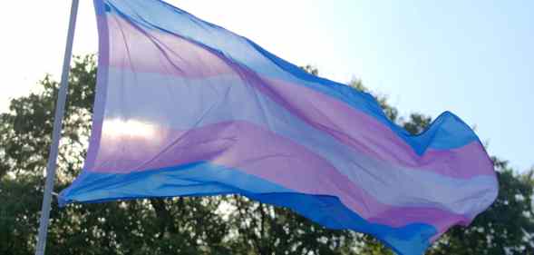 A trans flag is pictured against the sun and trees in the background.