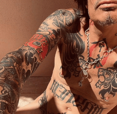 A carefully cropped version of Tommy Lee's 'd**k pic' selfie.
