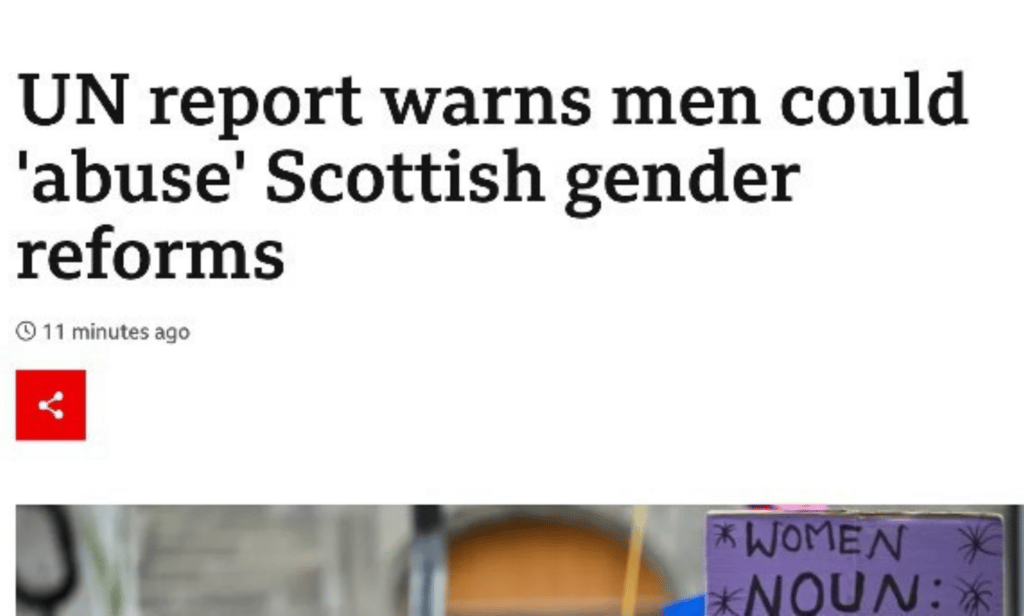 A screenshot of a BBC article with the headline 'UN report warns men could 'abuse' Scottish gender reforms'