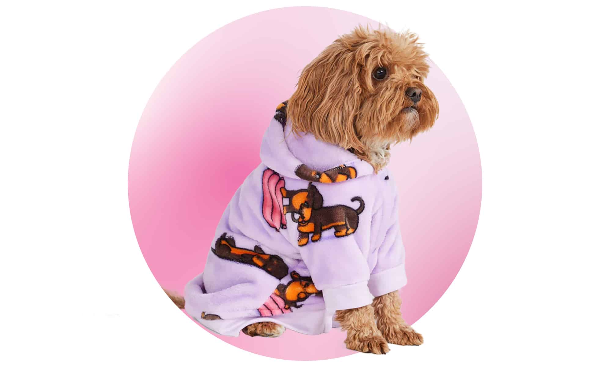 The Black Friday sale features the Oodie pet range.