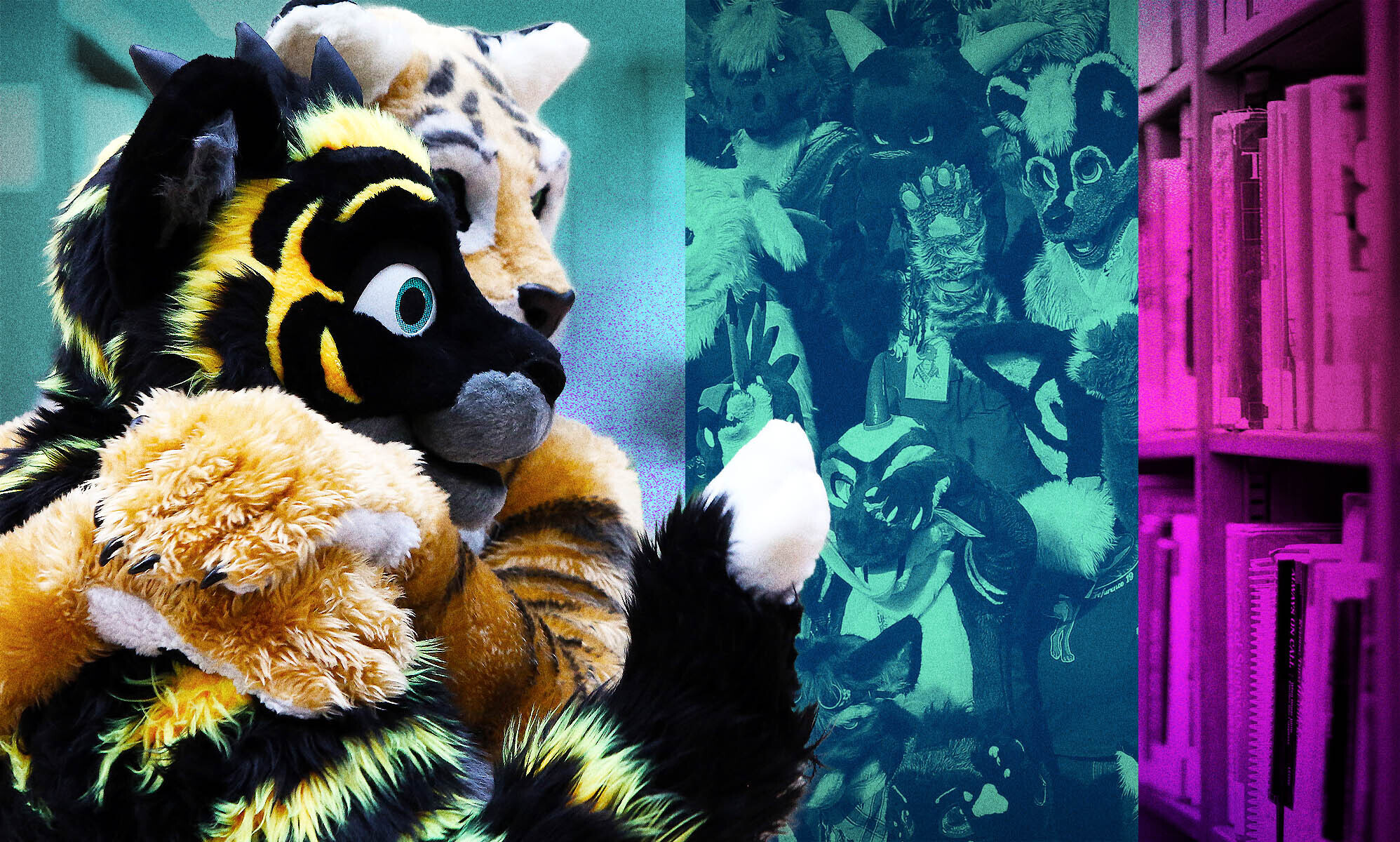The truth about furries: Everything you wanted to know, from LGBTQ+ ...