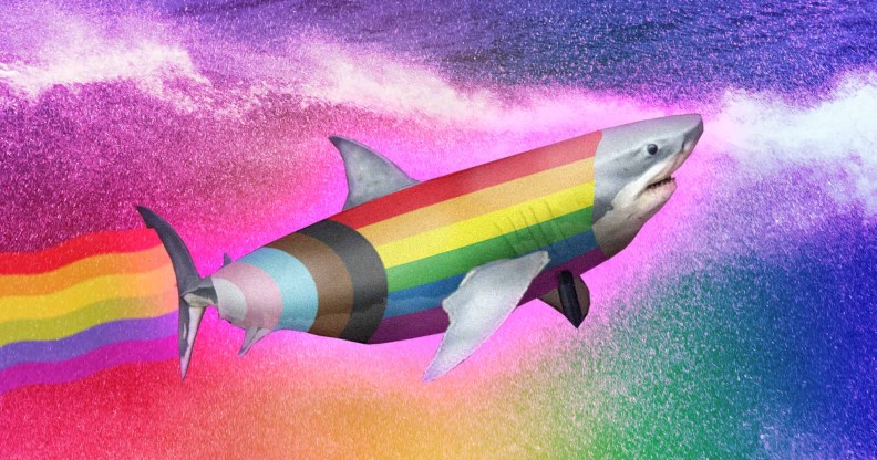 Progress Shark is the gay icon we didn't know we needed