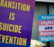 A person holds up a sign reading 'Transition is suicide prevention' while another holds up a sign reading 'trans rights are human rights' during a protest