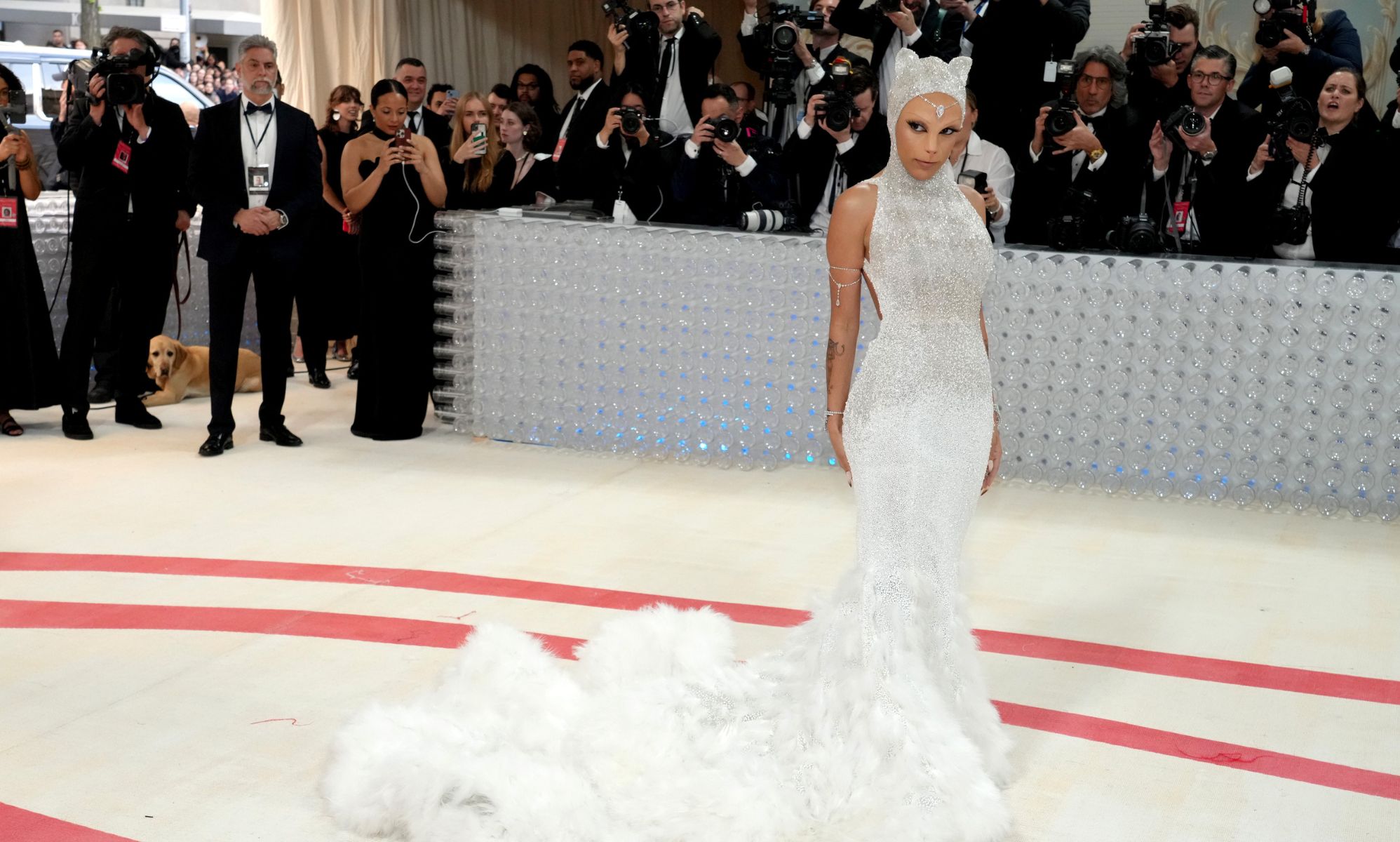 Doja Cat wins Met Gala by giving interviews as Karl Lagerfeld's cat