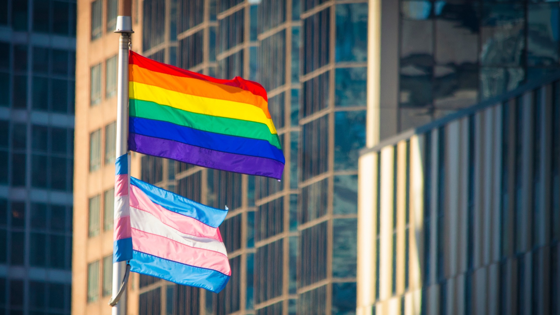 The History And Politics Of The Straight Pride Flag Pinknews