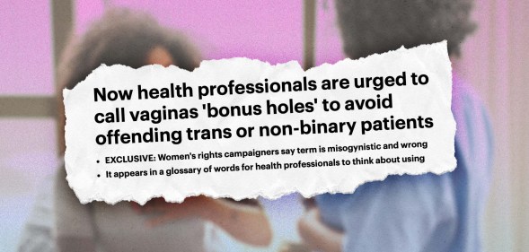 Screenshot of a Daily Mail article with the headline Now health professionals are urged to call vaignas bonus holes to avoid offending trans or non-binary patients