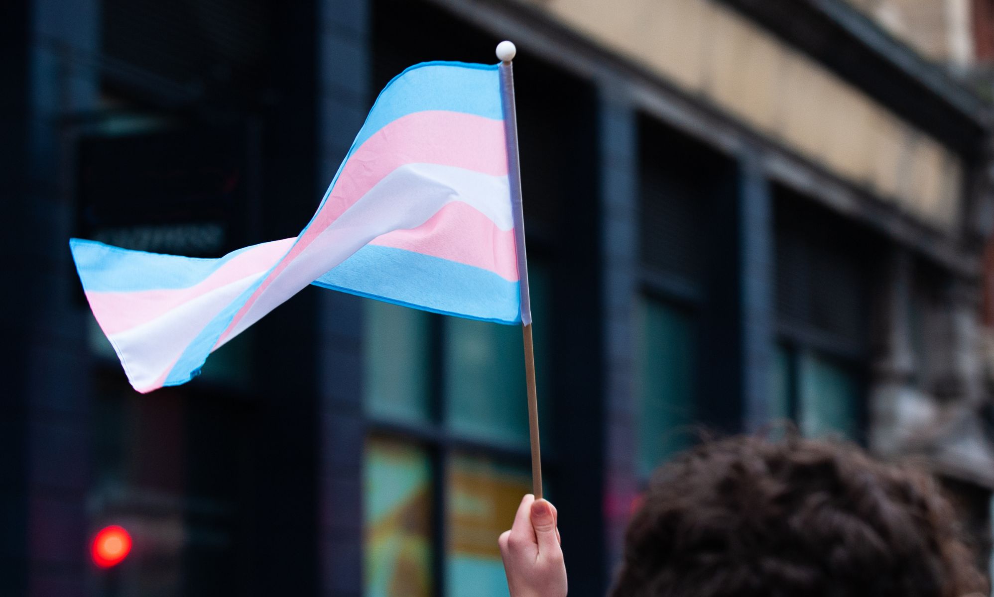 Major trans rights groups unite to take down anti-trans movement