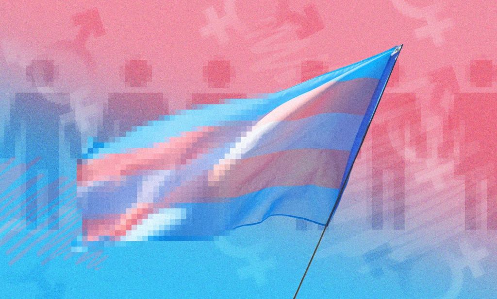 A partially pixelated transgender Pride flag edited into a graphic of trans identities.