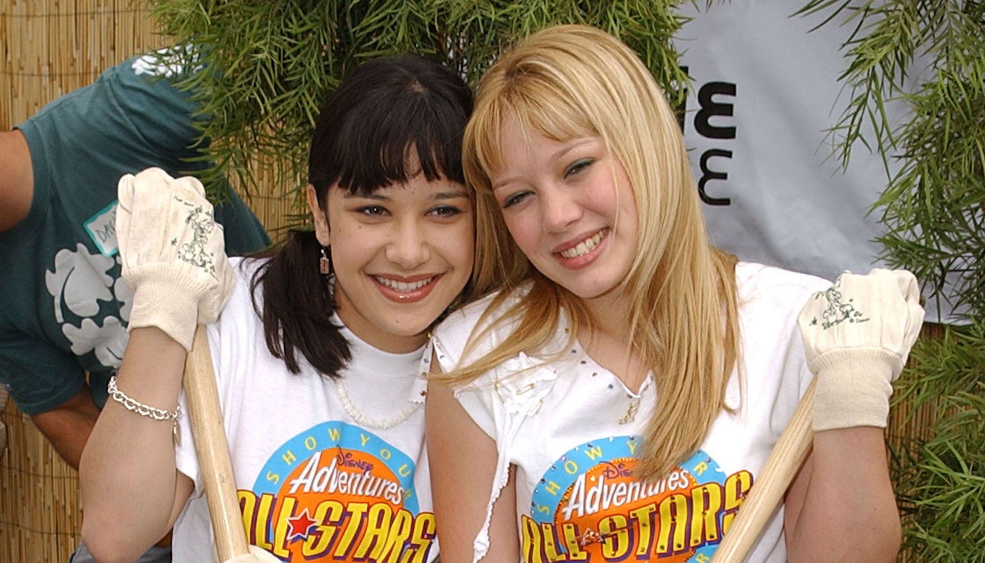 Lizzie McGuire character was gay in axed Disney revival